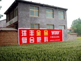  霞浦如何让墙体广告展现最大化效果