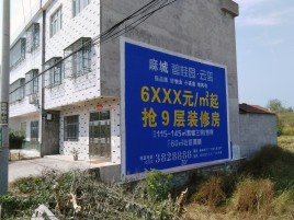  霞浦墙体广告质量分析