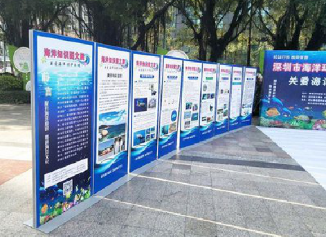  霞浦KT板的种类和知识。